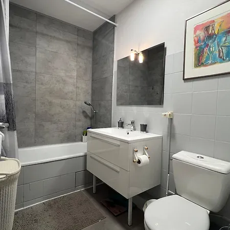 Apartment Paisible Avec Vue Sur Le Tarn Albi