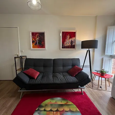 Apartment Lumineux Avec Vue Sur Le Tarn Albi